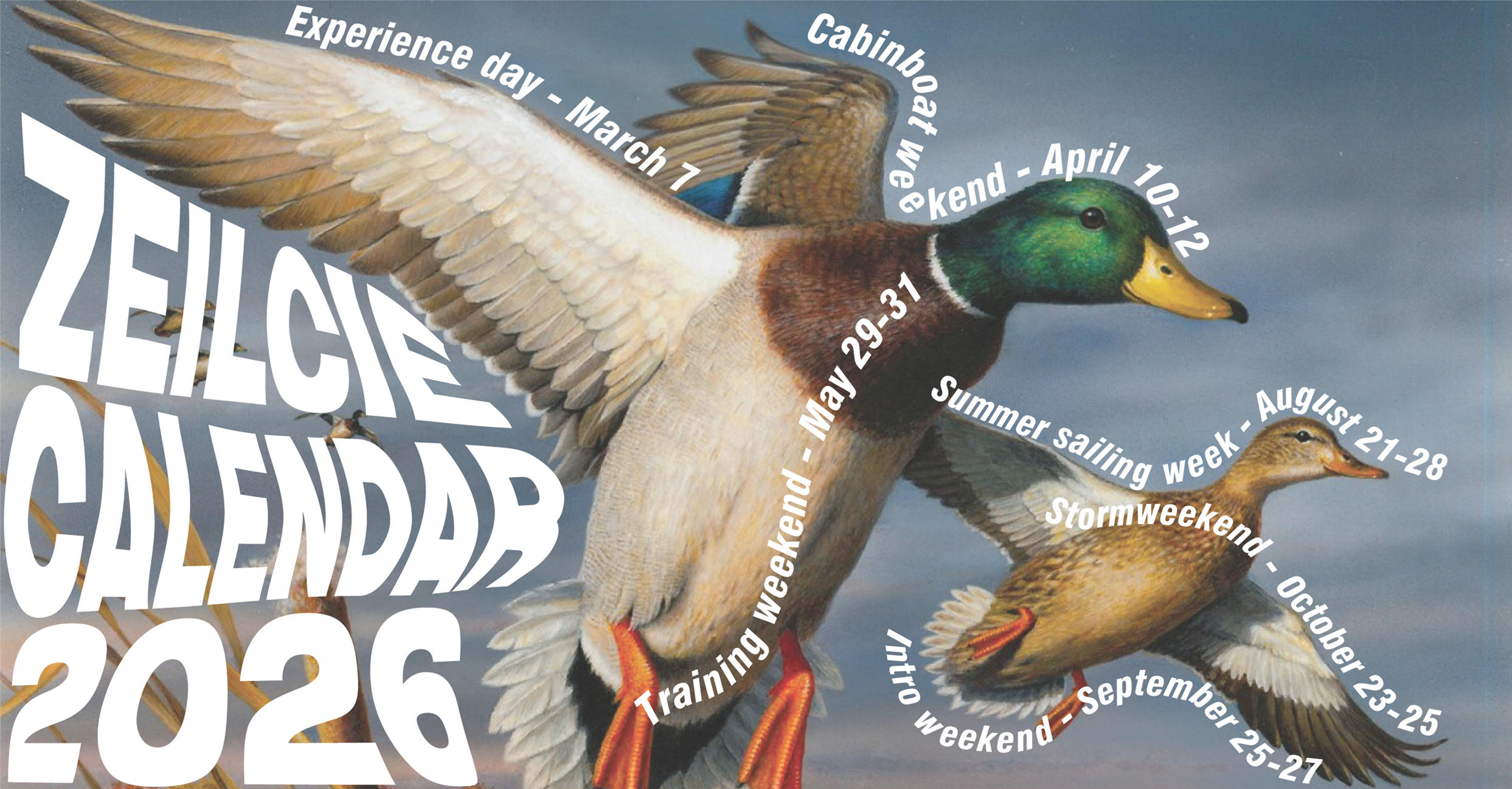 Check out the new Zeilcie Calendar!!!